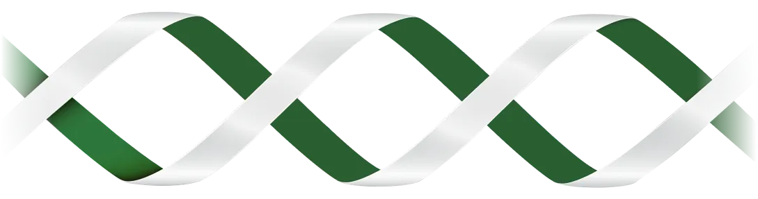 wave-img